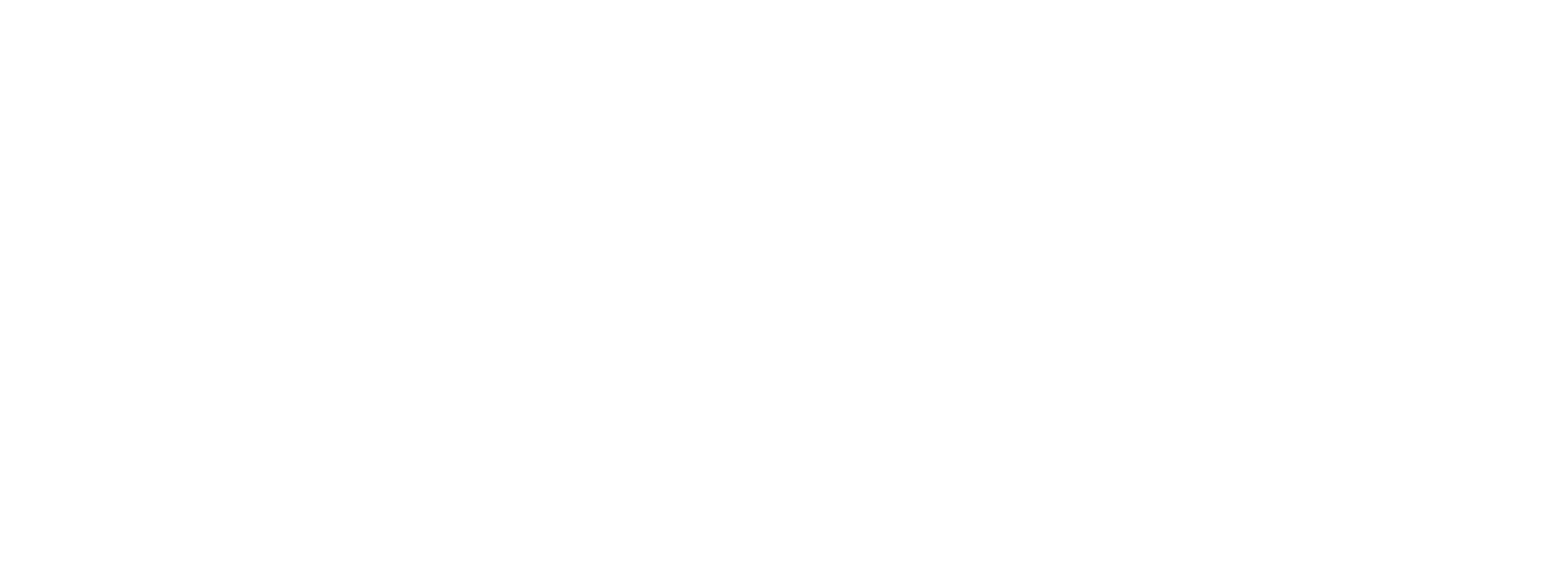 Mikrofin Logo