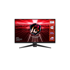 27" ASROCK PG27FF1A Gaming Monitor