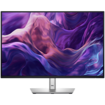 24" DELL Professional P2425E Monitor