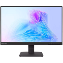 21.5" Lenovo L22-4e IPS Monitor
